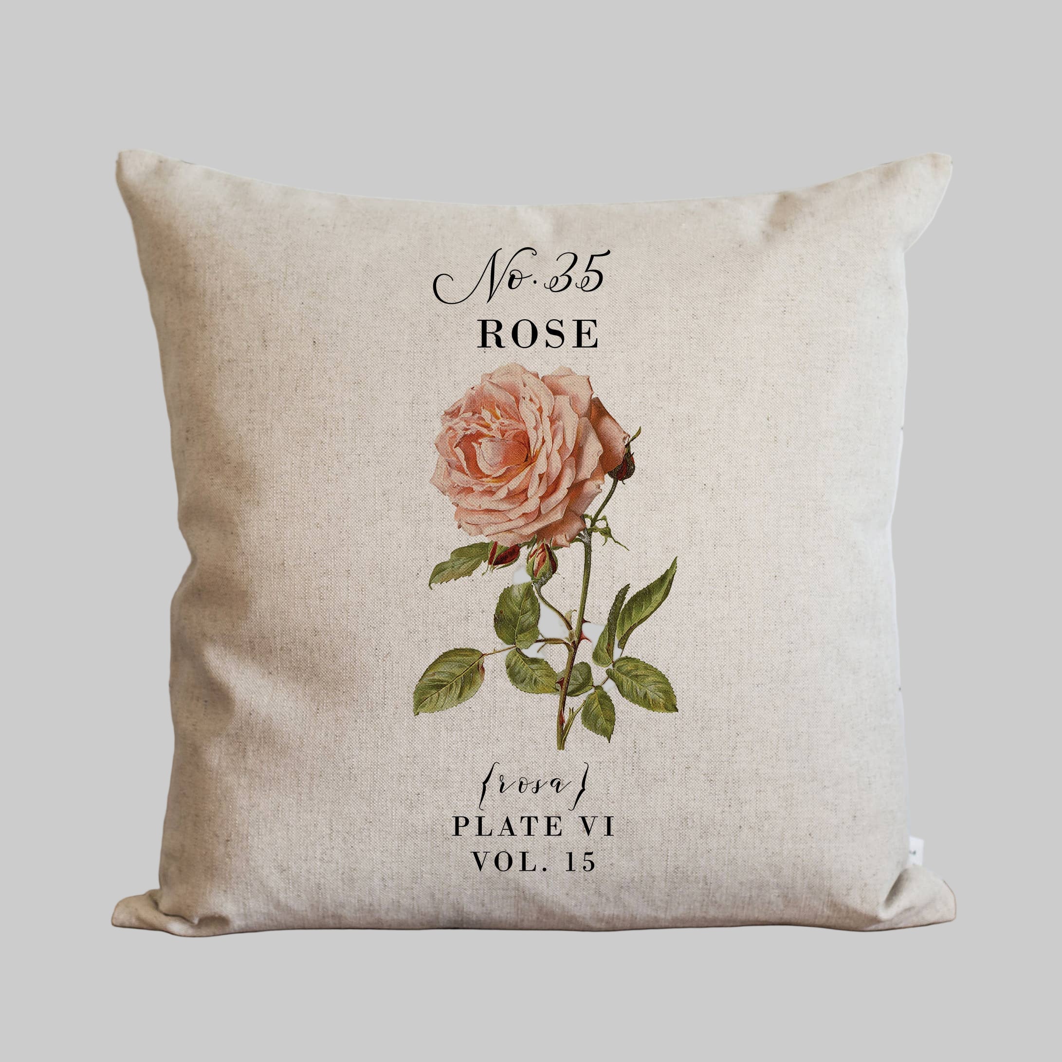 Decorative pillow with a vintage pink rose botanical design.